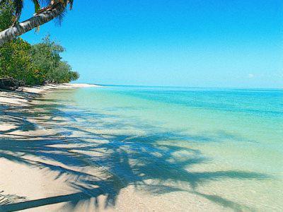Bedarra Island Great Barrier Reef Exterior foto